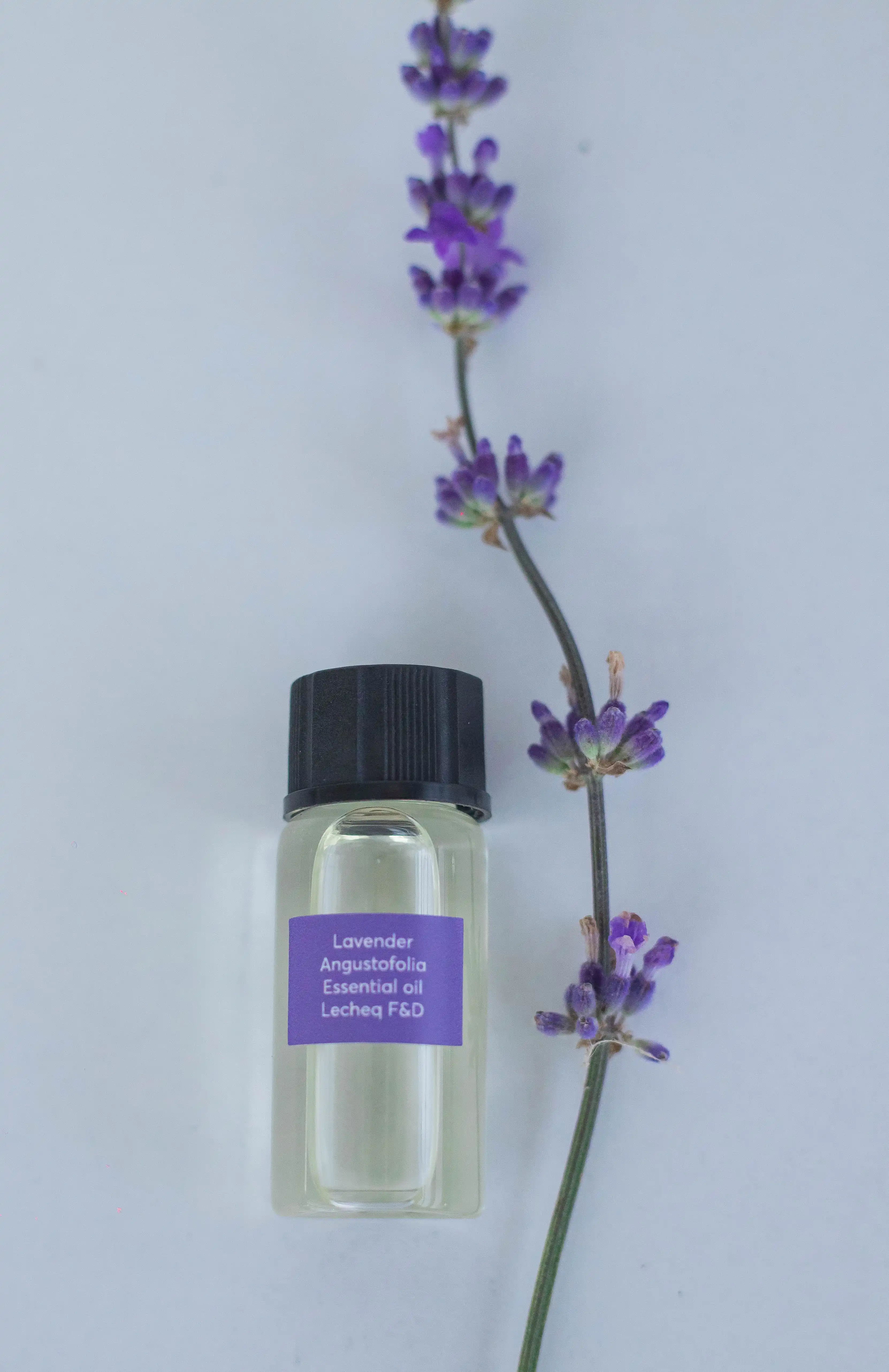 Lavanda Efir Yağı